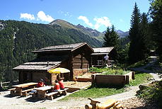 Two wooden cabins surrounded by mountainous scenery and pine trees, with outdoor seating and a yellow umbrella.